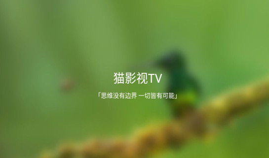 猫影视最新接口2022 猫影视TV接口地址