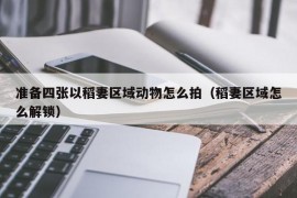 准备四张以稻妻区域动物怎么拍（稻妻区域怎么解锁）