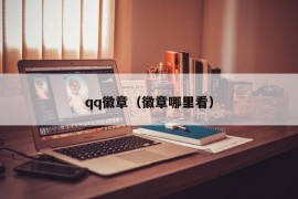 qq徽章（徽章哪里看）