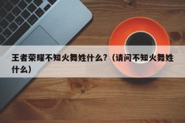 王者荣耀不知火舞姓什么?（请问不知火舞姓什么）