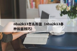 nba2k13怎么扣篮（nba2k13各种扣篮技巧）