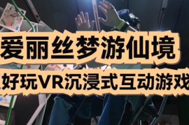 《爱丽丝梦游仙境》中文版游戏攻略大全,介绍。