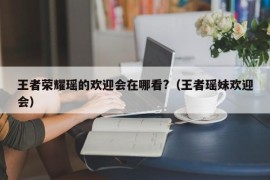 王者荣耀瑶的欢迎会在哪看?（王者瑶妹欢迎会）