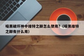 暗黑破坏神中维特之脚怎么使用?（暗黑维特之脚有什么用）