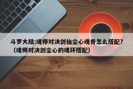 斗罗大陆:魂师对决剑仙尘心魂骨怎么搭配?（魂师对决剑尘心的魂环搭配）