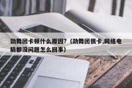 劲舞团卡顿什么原因?（劲舞团很卡,网络电脑都没问题怎么回事）