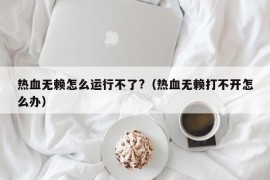 热血无赖怎么运行不了?（热血无赖打不开怎么办）