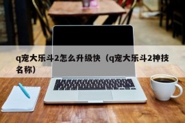 q宠大乐斗2怎么升级快（q宠大乐斗2神技名称）