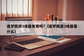 造梦西游3魂器有用吗?（造梦西游3魂器是什么）