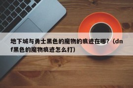 地下城与勇士黑色的魔物的痕迹在哪?（dnf黑色的魔物痕迹怎么打）