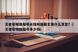 王者荣耀国服喷水瑶和国服玄策什么意思?（王者荣耀国服号多少钱）