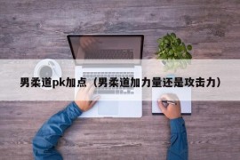 男柔道pk加点（男柔道加力量还是攻击力）